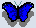 bluebutterfly.gif (302 bytes)